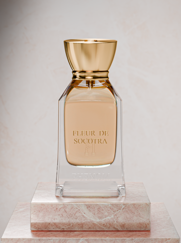 FLEUR DE SOCOTRA