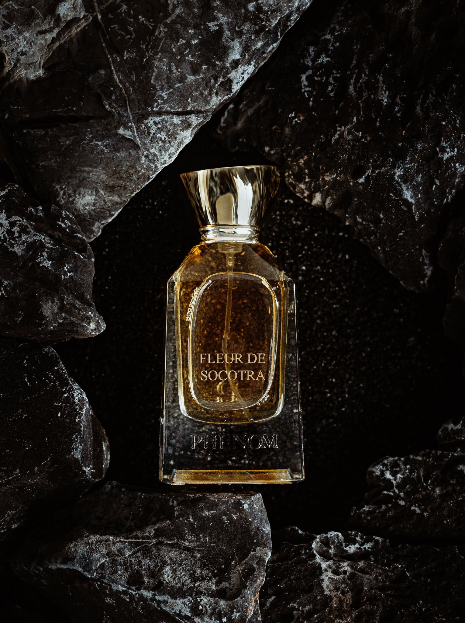 FLEUR DE SOCOTRA